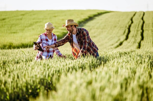 En quoi un jeu de simulation de vie en ferme peut-il promouvoir l'agriculture durable?
